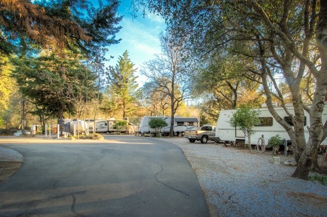 Premier Rv Resorts Redding Updated 2020 Campground Reviews Ca Tripadvisor