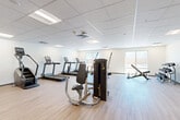 Located at 6775 N 67th Ave in Glendale, Arizona, this fitness center offers a well-appointed exercise space designed to support a full range of workout routines. The room features light wood-look flooring throughout, complemented by clean white walls and a suspended tile ceiling with recessed panel lighting that creates a bright, energizing atmosphere.

The space is generously equipped with cardio machines, including multiple treadmills, a stair climber, and an elliptical trainer, providing ample options for cardiovascular exercise. Strength training is well represented with a multi-station cable machine, a Matrix functional trainer, a weight bench, and a dumbbell rack stocked with a variety of free weights. The layout allows for comfortable circulation between equipment stations, making the space functional and easy to navigate.

Natural light enters through large windows along the perimeter, offering views of the surrounding Glendale streetscape, including glimpses of palm trees that reflect the Arizona setting. The open floor plan and high ceilings contribute to a spacious, uncluttered feel. The fitness center is accessible via dedicated entry doors and is well-ventilated with overhead HVAC units. Overall, the space delivers a clean, modern, and fully functional environment suited for a comprehensive fitness regimen.