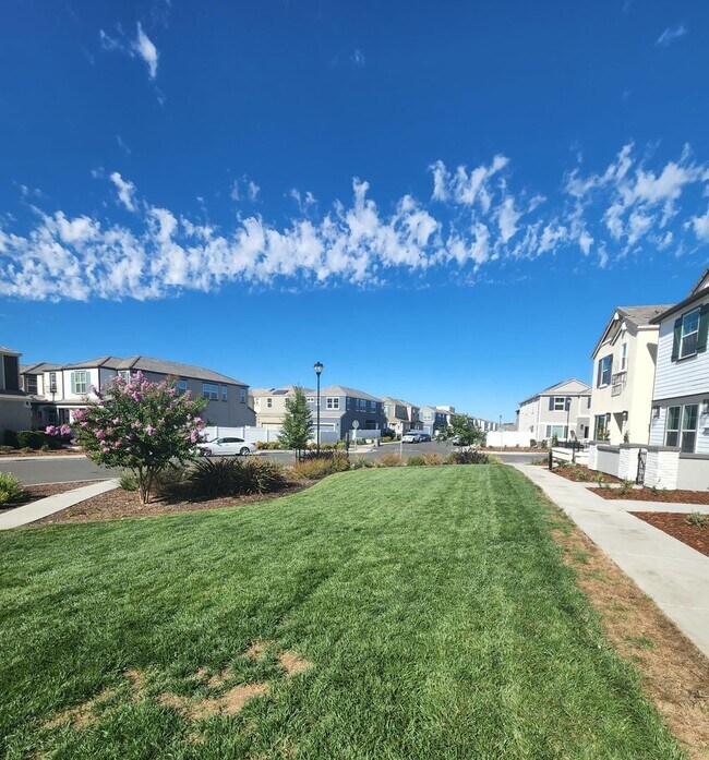 Foto del edificio - 3 br, 2.5 bath House - 3505 Pelican Court