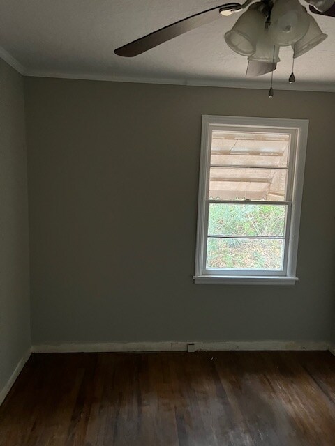 Foto del edificio - 1115 Luttrell St