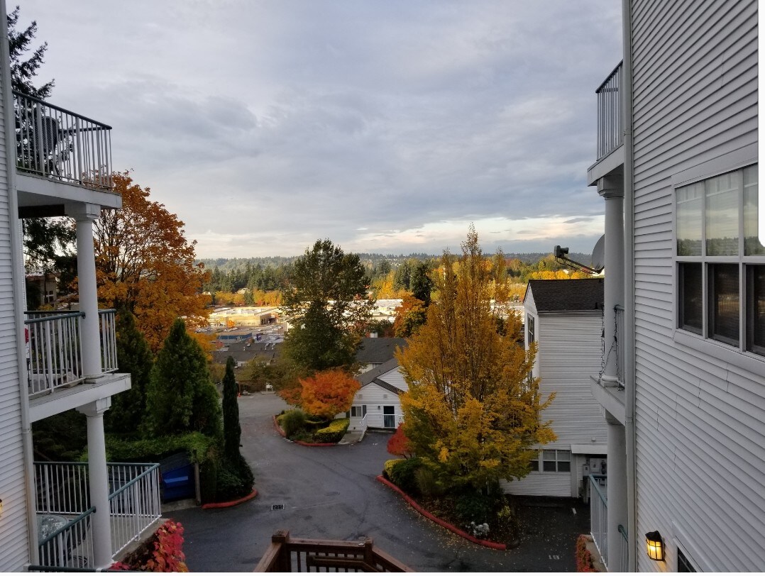 Condo Society Morgan Manor - 3990 129th Pl SE