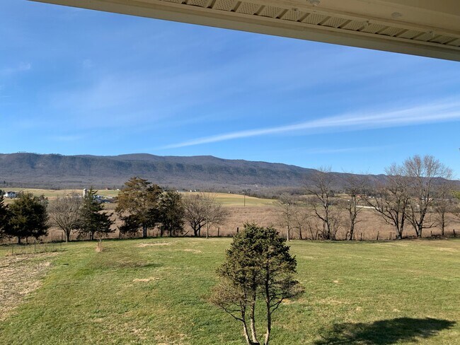 Vista trasera desde la cubierta - 7205 Gum Tree Ln