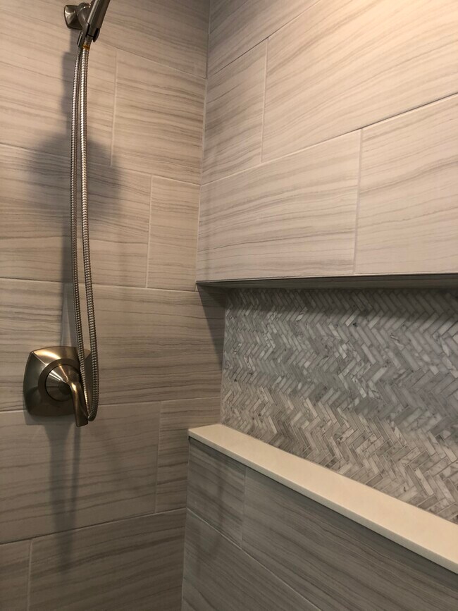 Master bath shower - 1430 Lehigh Ave