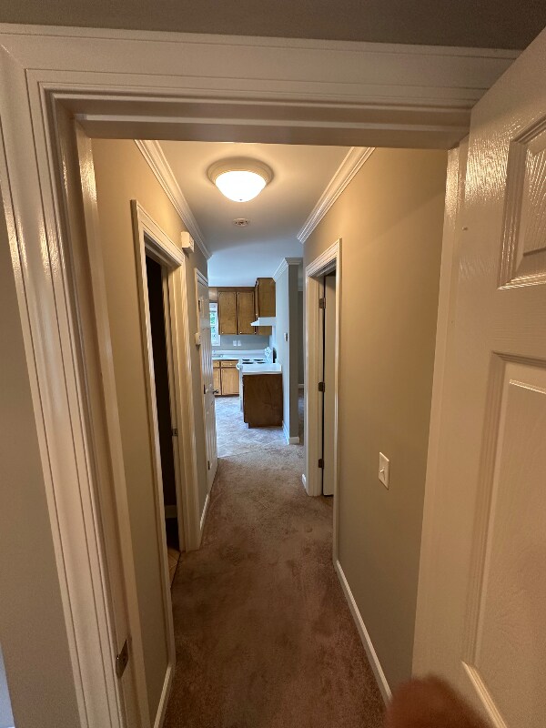 Foto del edificio - 109 Rollins Acres Ln