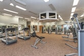 Located at 1485 Leverett Rd in Warner Robins, Georgia, this fitness center offers a well-equipped, single-floor exercise facility designed to support a comprehensive workout experience. The space is finished with soft sage-green walls, white crown molding, and durable patterned carpet flooring that lends a polished, community-oriented aesthetic throughout.

The main workout area is generously sized and divided into two functional zones. The cardio section houses multiple treadmills, an elliptical trainer, and a stationary bike, all arranged to maximize usability and flow. The strength training zone features a selection of cable and resistance machines suited for a full-body regimen. Full-wall mirrors line the perimeter, visually expanding the space and allowing users to monitor their form during exercise.

Overhead, flush-panel lighting provides bright, even illumination across the entire floor, while ceiling fans promote comfortable air circulation. Wall-mounted flat-screen televisions are positioned for easy viewing from multiple equipment stations. Natural light filters in through windows with wood-framed trim and blinds, adding warmth to the interior.

A transitional entry corridor features a body weight scale and interior window overlooking the main gym floor, providing a welcoming and functional point of access. The overall design balances practicality with a clean, inviting atmosphere well-suited for regular fitness use.