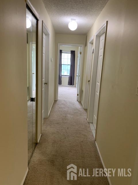 Foto del edificio - 72 Joyner Ct