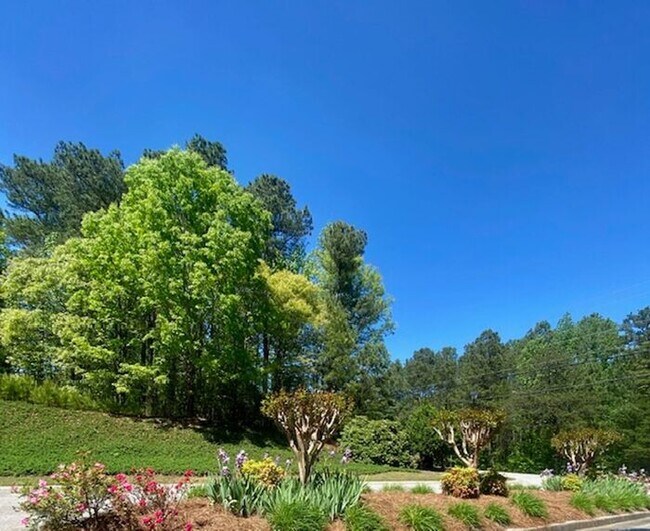 Building Photo - Huge Ranch home!
