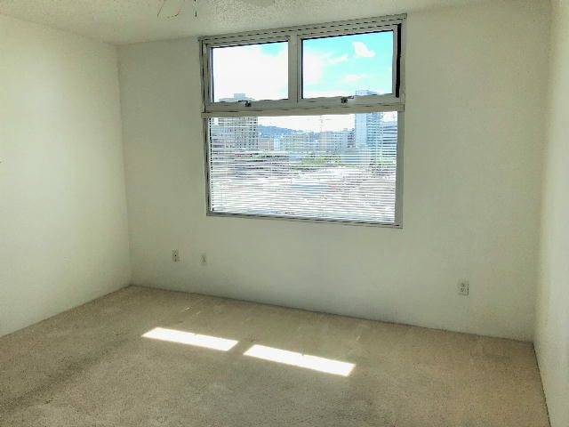 Building Photo - 1133 Waimanu St