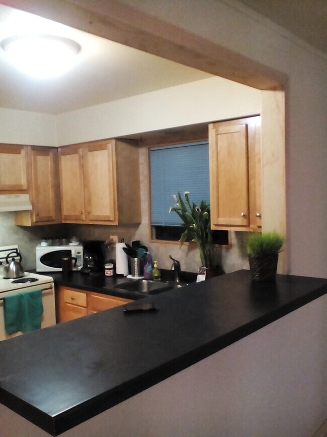 Building Photo - 1509 N Winslowe Dr