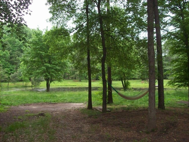 Building Photo - 2 bed  2 bath home in wiht woods with a pond