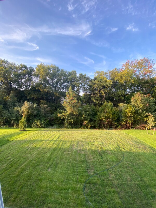 Foto del edificio - 247 Laurel Pk Dr