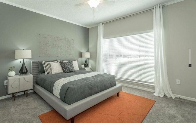 Building Photo - 3780 Towne Crossing Pky