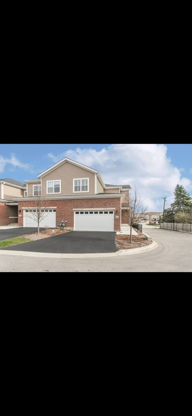 2363 N Newberry Ln, Palatine, IL 60074 Townhome Rentals in Palatine