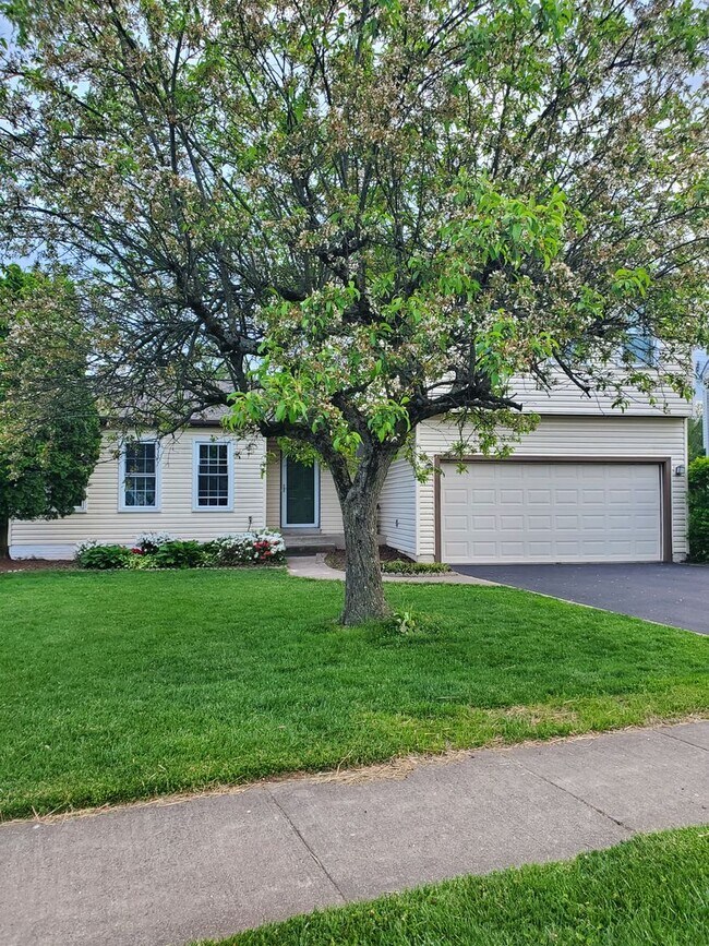 Photo - Spacious Home with Great Amenities minutes...