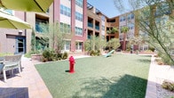This outdoor community space is designed with a resort-inspired aesthetic, offering multiple functional zones within a well-maintained courtyard setting. The complex features warm stucco exteriors in earthy tones of brown, red, and tan, accented by teal-railed balconies that add a pop of color to the multi-story facade.

A dedicated lounge area provides a comfortable gathering space with modern white-framed furniture, including sofas with light green cushions and striped accent pillows, arranged around a low coffee table on a paved stone patio. Mature palm trees and carefully curated desert-friendly plantings, including ornamental grasses and flowering shrubs, surround the seating area, adding shade and natural texture.

Adjacent to the lounge is a spacious pet-friendly area, featuring lush artificial turf, a dedicated pet waste station, and play equipment, making it ideal for residents with dogs. A larger open green space provides additional room for recreation and exercise.

The courtyard's paved walkways connect the various zones seamlessly, while the surrounding multi-story building creates an enclosed, private atmosphere. The overall ambiance is bright, clean, and community-oriented, reflecting a well-designed outdoor living environment suited to a warm, sunny climate.