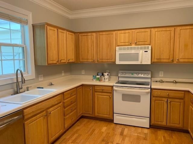Building Photo - 5008 Morning Edge Drive, Raleigh- Bev Robe...