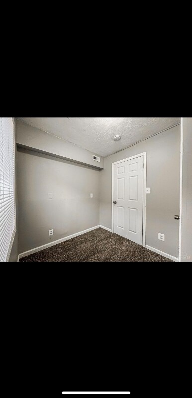 Foto del edificio - 3107 Bracken Woods Ln