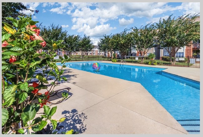 Apartments By The Riverwalk