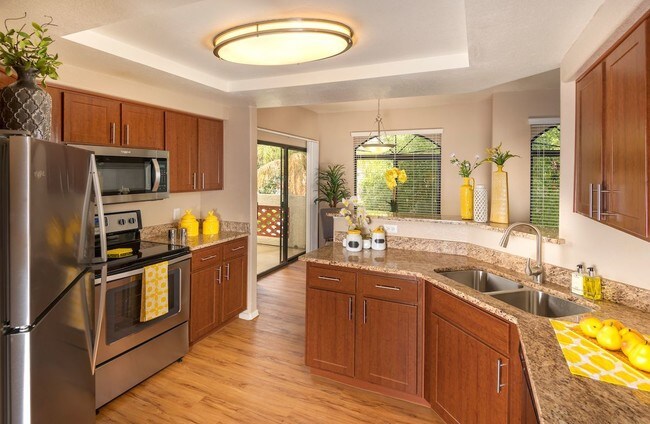 San Antigua In Mccormick Ranch Apartments Scottsdale Az Apartments Com