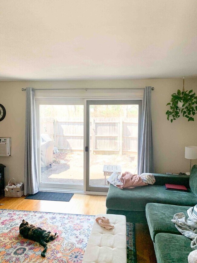 Foto del edificio - 2 Bed / 1 Bath Apartment – Webster Court, Amherst Available 6/8