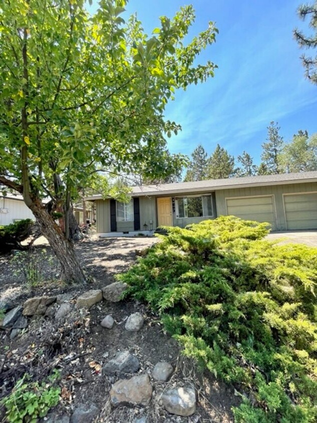 Primary Photo - New paint and flooring in this great duple...