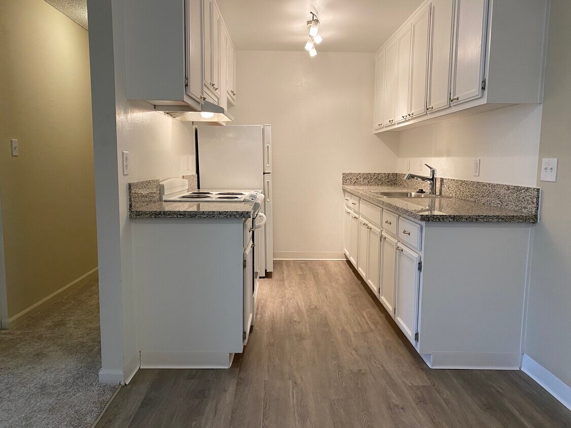 Kitchen - 1221 Morse Ave