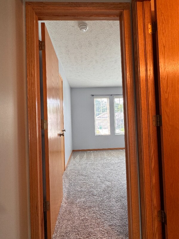 Photo - 16212 Timberline Dr (Omaha, NE)