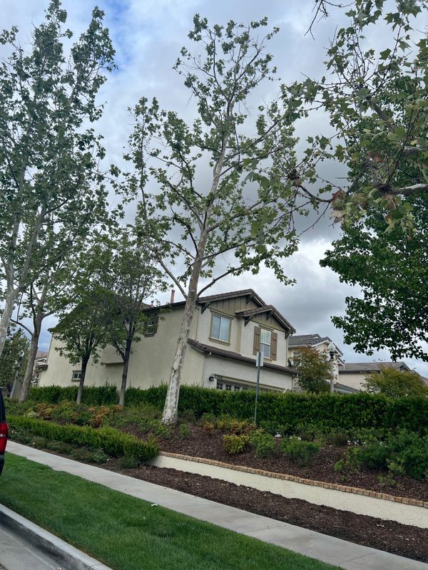 Foto del edificio - 24098 Stone Creek Dr