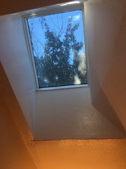 Skylight in bathroom. - 1733 De Marietta Ave