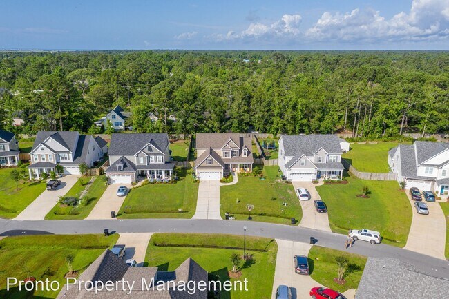 Building Photo - 4 br, 2.5 bath House - 66 S Lamplighters Walk