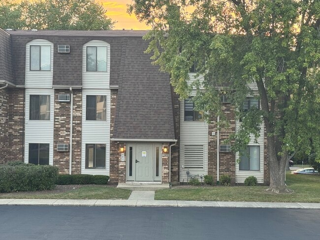 Building Photo - 249 W Court of Shorewood