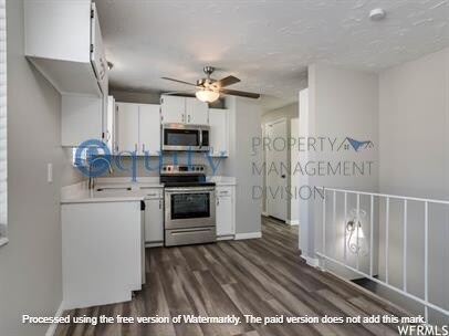 Foto del edificio - 3812 Fairmont Cir