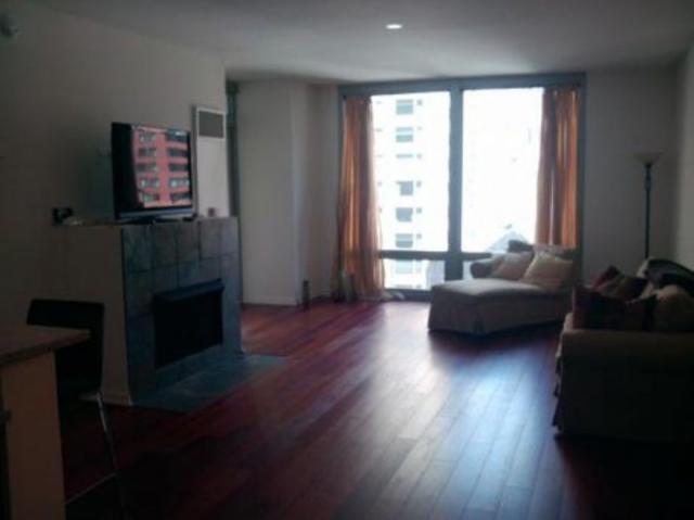 Building Photo - 1 bedroom in Chicago IL 60611
