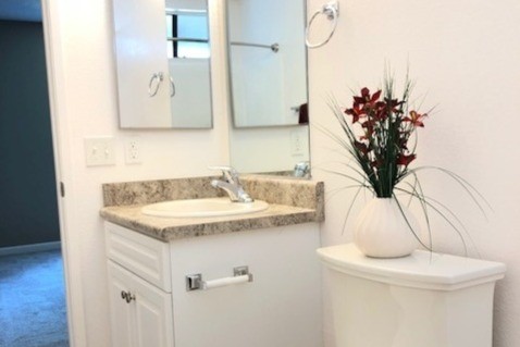 Bathrooms of Renovated Units - Summer Brook Apartments: Your Oasis of Com...