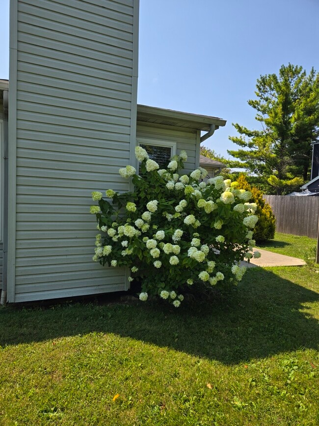 Building Photo - 4932 Drayton Rd