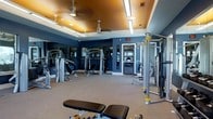 This fitness center offers a thoughtfully designed workout environment that combines functionality with modern aesthetics. The space is defined by deep navy blue walls that contrast elegantly with a warm, copper-toned tray ceiling accented by recessed lighting and ceiling fans — creating an inviting yet energizing atmosphere.

The main workout floor is generously sized and finished with durable carpet, providing a comfortable surface for a variety of exercises. A comprehensive selection of strength training machines lines the perimeter, including cable systems, multi-functional weight machines, and adjustable benches, catering to a full range of muscle groups. Large mirrors along one wall serve both practical and visual purposes, enhancing the sense of openness and allowing members to monitor their form.

Bright linear overhead lighting ensures the entire space is well-illuminated, complementing the natural light that filters in through glass doors leading to an adjacent area. The layout is open and spacious, allowing for easy movement between equipment without congestion. The facility is thoughtfully arranged to support an efficient and complete workout experience, making it suitable for both beginner and experienced fitness enthusiasts alike.