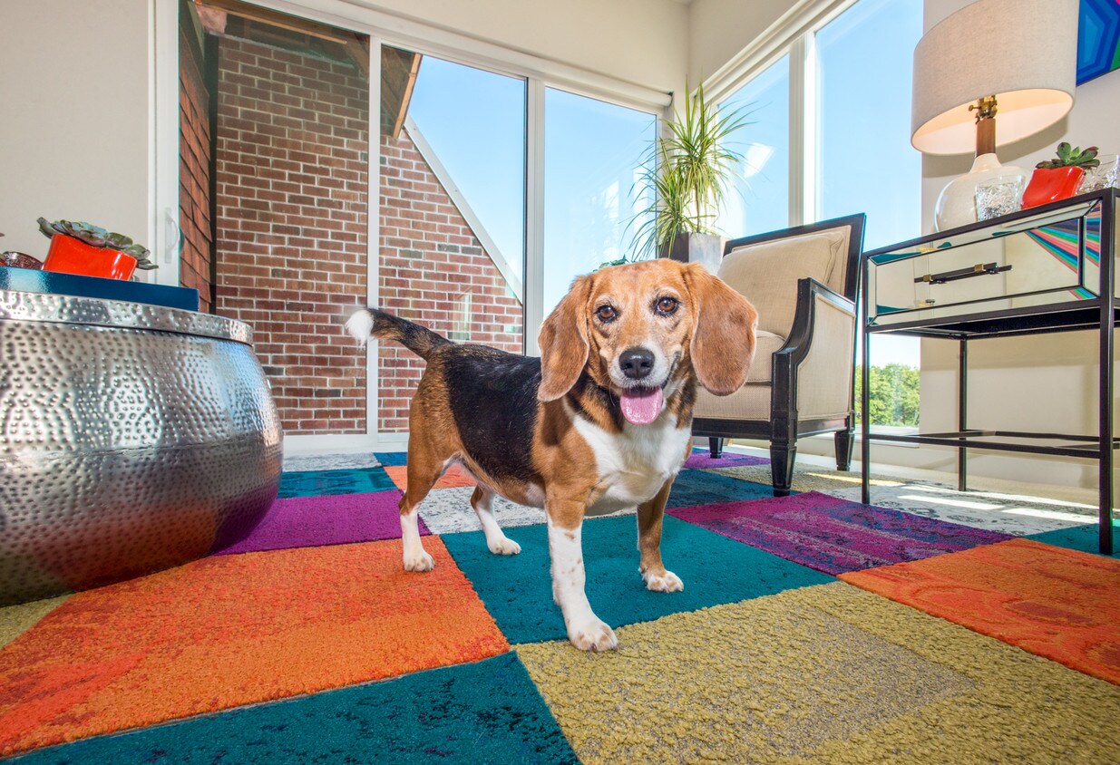 Echelon Apartments at Innovation Campus 9810 Echelon Ln Milwaukee, WI