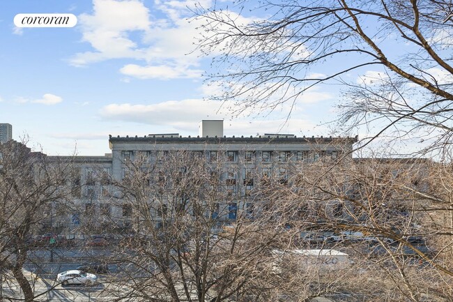 Foto del edificio - 255 Eastern Pkwy