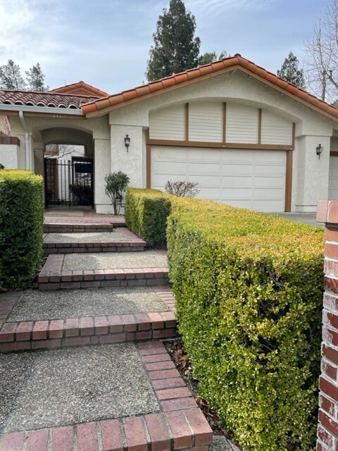 Primary Photo - 335 Live Oak Dr