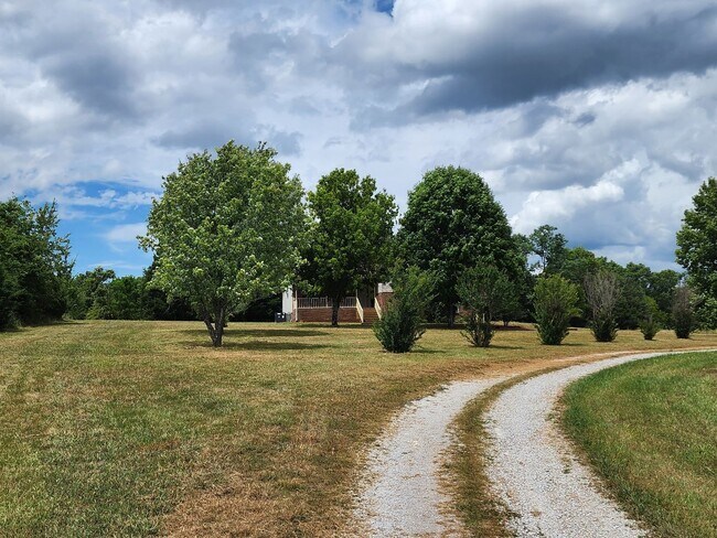 Foto del edificio - Stunner on Almost 10 Acres on Bear Creek