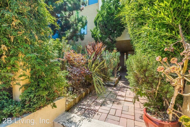 Building Photo - 3 br, 2 bath House - 804 De Haro Street