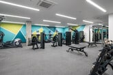 This contemporary fitness center is thoughtfully designed to support a full range of workout activities across several distinct zones. The main gym floor is expansive and carpeted, featuring a curated selection of cardio machines — including treadmills, ellipticals, and rowing machines — alongside a comprehensive lineup of cable and resistance machines by Freemotion. Striking geometric wall murals in teal, sage green, and white add a dynamic, energetic character to the space, complemented by recessed linear LED lighting that keeps the environment bright and inviting. Exposed concrete columns contribute an industrial architectural quality throughout.

A dedicated free weights area includes a full dumbbell rack, a power rack with bench, and floor-to-ceiling mirrors that visually expand the space. An adjacent functional training studio features light hardwood flooring, ballet barres, floor-to-ceiling mirrors, and well-stocked equipment shelving with medicine balls, resistance bands, and kettlebells. A branded training mat anchors the studio floor, which also accommodates a large flat-screen display and a rowing machine for varied workouts.

The facility also includes a glass-walled entry corridor with a distinctive circular pendant light, along with water fountains and bottle-filling stations conveniently placed throughout. Open shelving near the entrance provides storage for personal belongings.