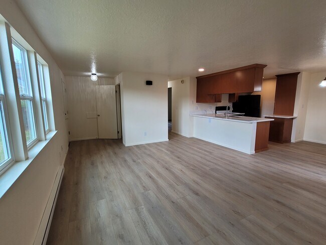 Entry closet, lots of natural light in living room. - 1045 S Jasper St