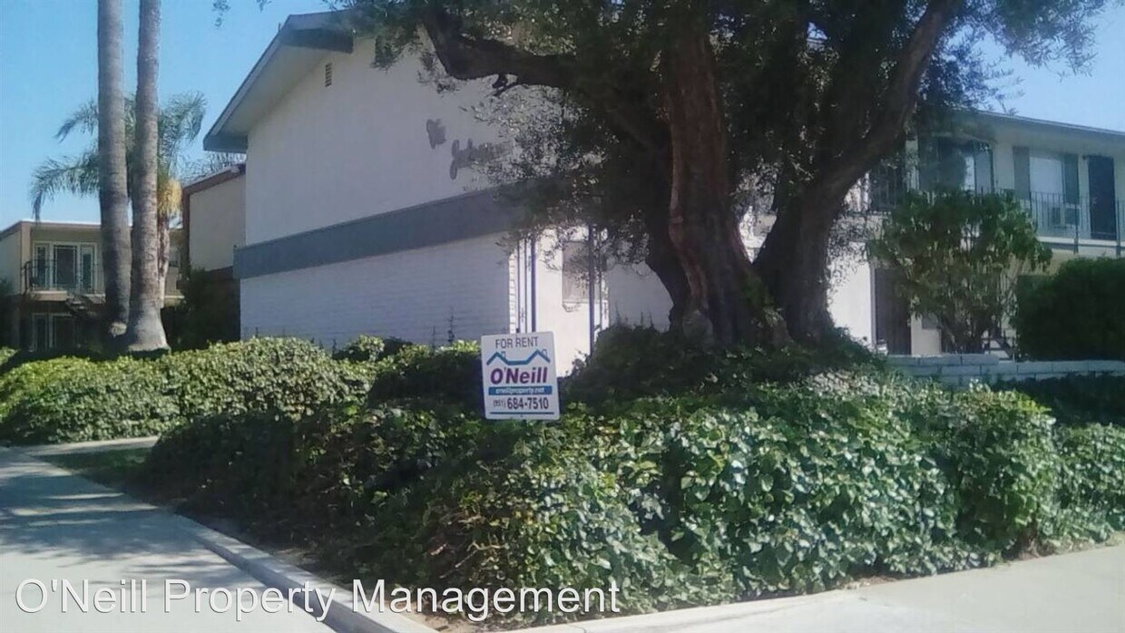 Primary Photo - 3660 Jackson St