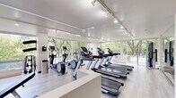 This well-appointed fitness center in Detroit, MI offers a bright, modern workout environment designed to support a comprehensive exercise routine. The single-floor space is thoughtfully laid out to maximize functionality while maintaining an open, airy feel.

Floor-to-ceiling windows line multiple walls, flooding the interior with natural light and providing scenic views of surrounding mature trees and greenery — creating an inviting atmosphere that encourages focused workouts. Light hardwood-style flooring runs throughout, complementing the clean white walls and smooth ceilings outfitted with adjustable track lighting for consistent, even illumination.

The cardio zone is well-stocked with multiple treadmills and elliptical machines, all equipped with individual displays. A cable resistance machine is positioned near the windows, offering versatile strength training options. The free weights area includes a full dumbbell rack alongside a weight bench, catering to a range of strength training exercises. Stability balls and additional functional training accessories are neatly organized along one wall.

Full-length mirrors span one side of the room, visually expanding the space while allowing users to monitor their form. Built-in shelving provides convenient storage, and the overall layout ensures clear circulation throughout. This fitness center delivers a clean, professional, and motivating environment for daily exercise.