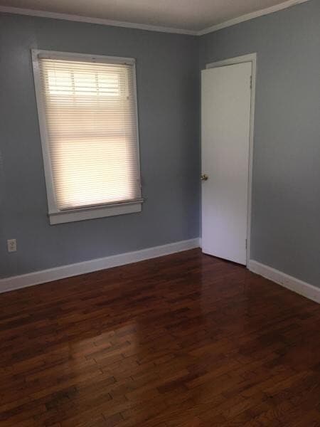 Building Photo - Available Immediately
