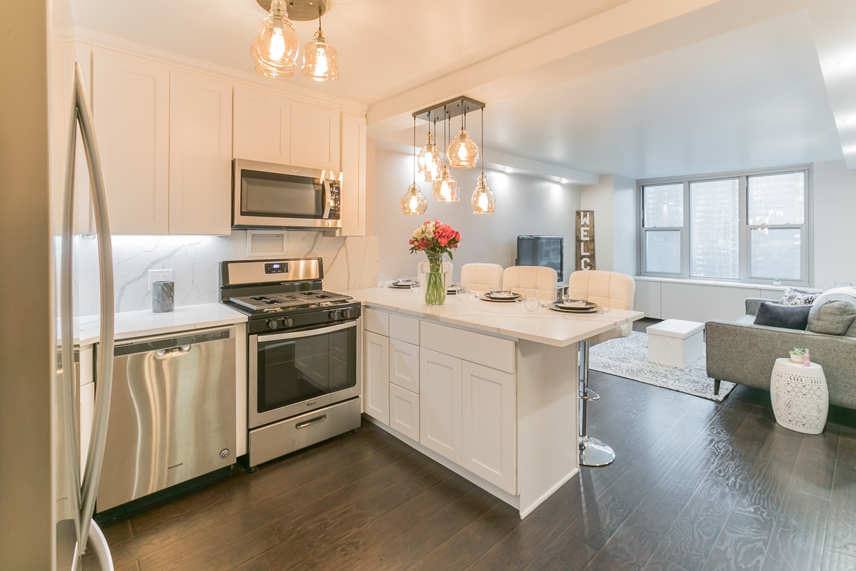 Beautiful brand new kitchen - 400 E Randolph St