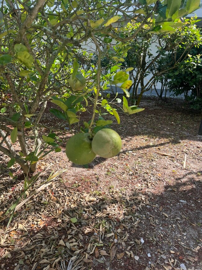 Foto del edificio - 2302 Sunrise Blvd