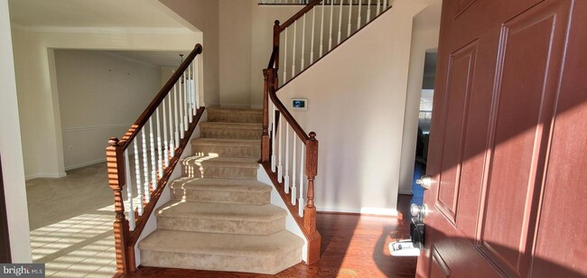 Foto del edificio - 10583 Frasier Fir Ln