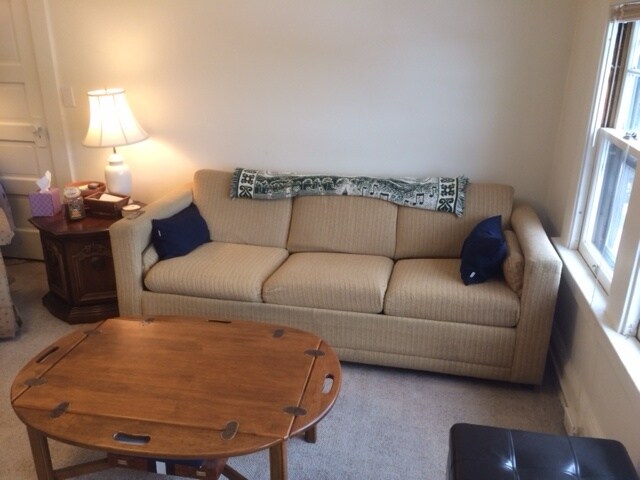 Living Room - 781 Farmington Ave